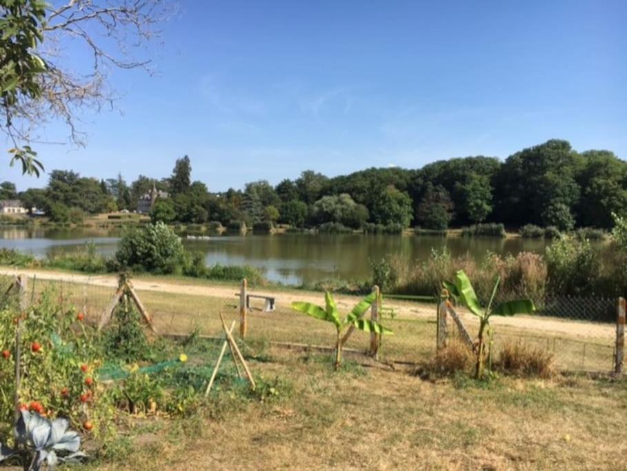 Maison Face A L'Etang Précy Esterno foto